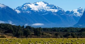 Australia Temporary Work (International Relations) Visa