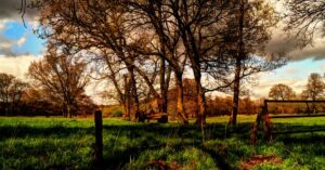 Top Farm Jobs in Australia for Those with No Experience